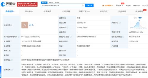 榮耀跨界布局游戲與信息服務，2000萬成立軟件子公司引發行業關注